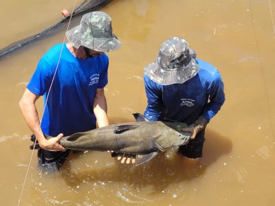 WhatsApp Image 2025-07-31 at 10.12.39 (3)