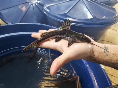 WhatsApp Image 2025-07-31 at 10.12.41 (1)